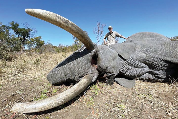 Trophy-hunting